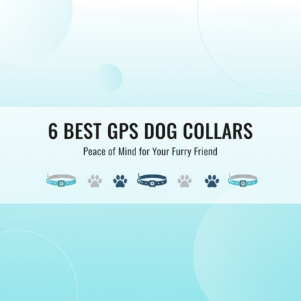The 6 Best GPS Dog Collars for Anxious Pet Owners in 2025