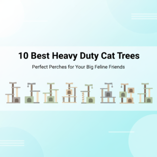 Best Heavy Duty Cat Tree for Large Breeds (Maine Coons, Ragdolls) in 2025