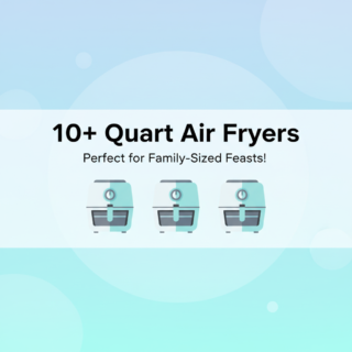 Best Air Fryers for Large Families (10+ Quart Capacity)