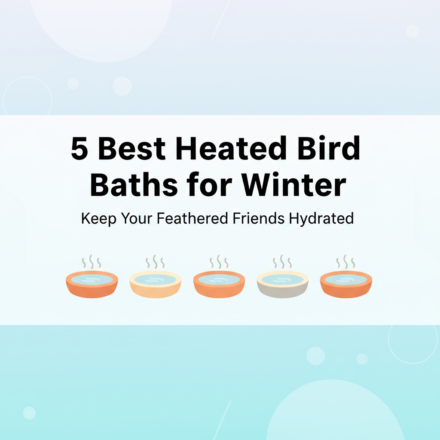Best Heated Bird Baths for Winter: Keep Your Feathered Friends Hydrated