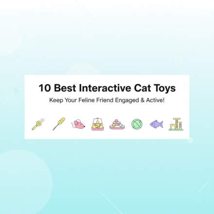 Best Interactive Cat Toys for Indoor Cats: Keep Boredom Away in 2025
