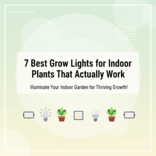 Best Grow Lights for Indoor Plants That Actually Work in 2025