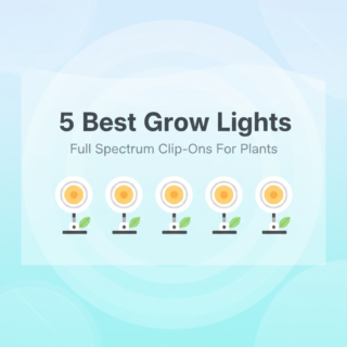 Best Grow Lights for Seedlings and Succulents (Full Spectrum Clip-Ons)