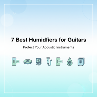 Best Humidifiers for Guitars & Acoustic Instruments