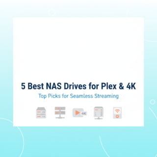 Best NAS Drives for Plex Media Server and 4K Streaming in 2025
