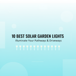 Best Solar Garden Lights for Pathways & Driveways