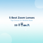 Best DSLR Zoom Lenses for Wildlife Photography (Telephoto Tested)