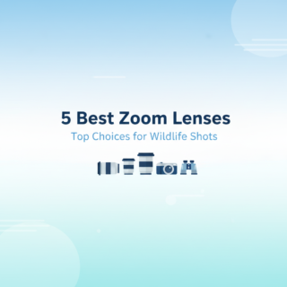 Best DSLR Zoom Lenses for Wildlife Photography (Telephoto Tested)